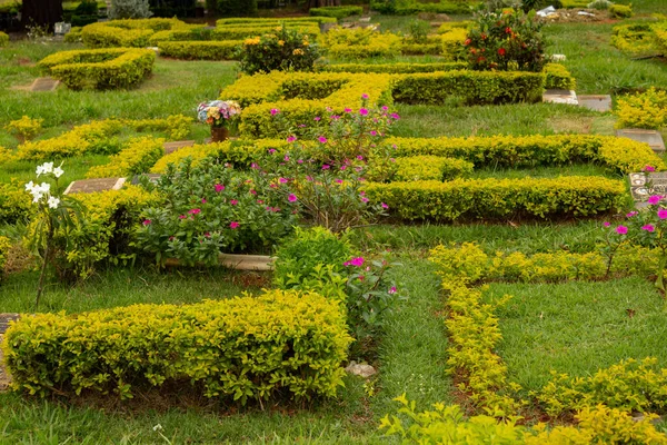 Bitkiler Çimlerle Süslenmiş Bazı Mezarların Detayları Cemitrio Jardim Das Palmeiras — Stok fotoğraf