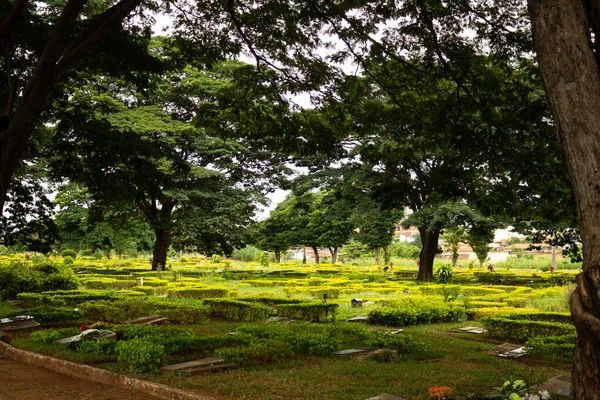 Panoramische Foto Van Garden Palms Cemetery Stad Goinia Een Begraafplaats — Stockfoto