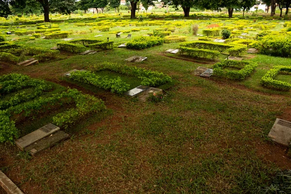 Panoramiczne Zdjęcie Ogrodu Cmentarza Palmowego Mieście Goinia Cmentarz Mnóstwem Drzew — Zdjęcie stockowe
