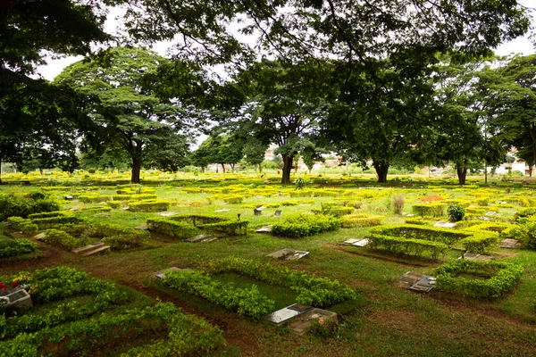 Panoramische Foto Van Garden Palms Cemetery Stad Goinia Een Begraafplaats — Stockfoto