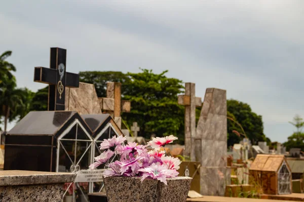 Dettaglio Fiori Una Tomba Cimitero Goiania Cemitrio Parque — Foto Stock