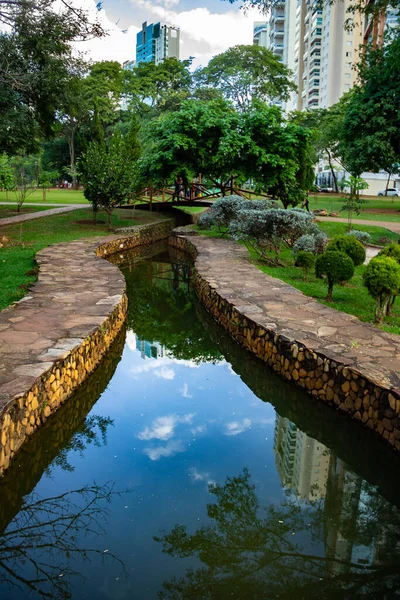 Λεπτομέρεια Υδατορεύματος Στο Flamboyant Park Στην Πόλη Goiania — Φωτογραφία Αρχείου