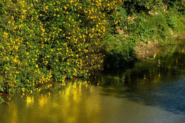 Strecke Von Ribeirao Anicuns Der Stadt Goiania Detail Von Ribeiro — Stockfoto