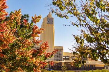 Goiania Tren İstasyonu. Tren istasyonunun ön planda bir ağacın çiçekleriyle görüntüsü.
