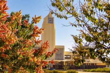 Goiania Tren İstasyonu. Tren istasyonunun ön planda bir ağacın çiçekleriyle görüntüsü.