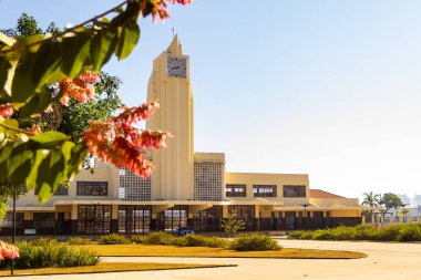 Goiania Tren İstasyonu. Tren istasyonunun ön planda bir ağacın çiçekleriyle görüntüsü.