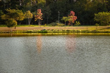 Goinia şehrindeki Leoldio Di Ramos Caiado Parkı 'nın detayları..