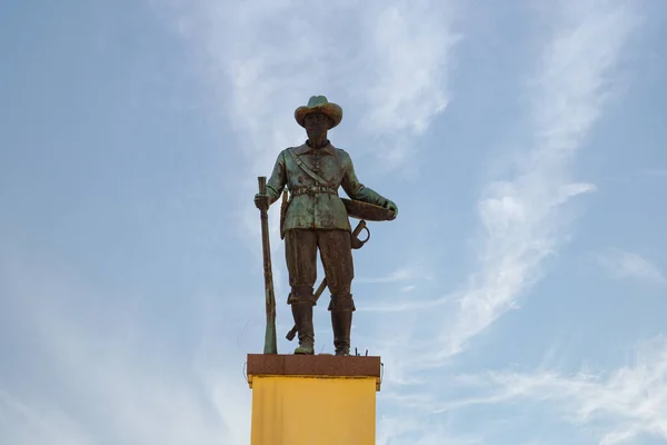 Foto Della Statua Che Trova Proprio Centro Praa Bandeirante Goiania — Foto Stock