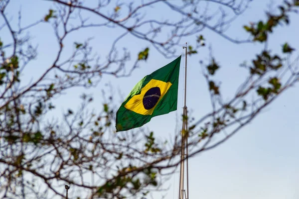 Bandera Brasileña Ondeando Viento Entre Las Ramas Árbol Con Cielo — Foto de Stock