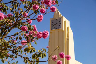 Frei Confaloni Müzesi etrafında pembe sarmaşık çiçekleriyle dolu. Goiania 'daki eski tren istasyonu..