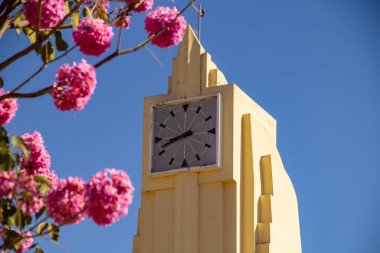 Frei Confaloni Müzesi etrafında pembe sarmaşık çiçekleriyle dolu. Goiania 'daki eski tren istasyonu..
