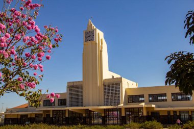 Frei Confaloni Müzesi etrafında pembe sarmaşık çiçekleriyle dolu. Goiania 'daki eski tren istasyonu..