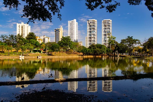 Detail Van Het Meer Van Rozen Park Stad Goinia Het — Stockfoto