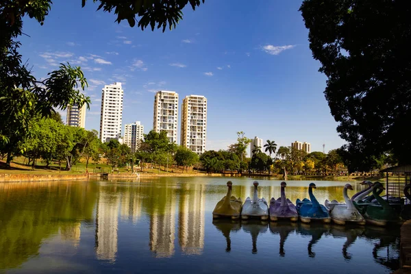 Detalhe Lago Rosas Parque Cidade Goinia Parque Zoológico Cidade — Fotografia de Stock