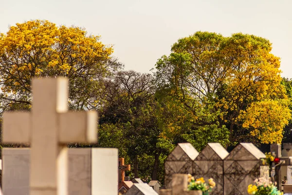 Details Van Graven Een Begraafplaats Stad Goiania — Stockfoto