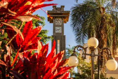 Goiania 'daki Avenida Goias' taki Art Deco saat kulesinin ayrıntıları, açık ve güneşli bir günde kırmızı yapraklı bitkiler tarafından çerçevelenmiş..