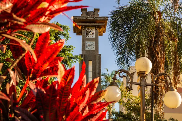 Goiania 'daki Avenida Goias' taki Art Deco saat kulesinin ayrıntıları, açık ve güneşli bir günde kırmızı yapraklı bitkiler tarafından çerçevelenmiş..