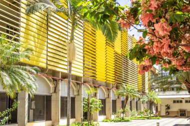 IFG - Federal Goias Enstitüsü. Çiçeklerin arasında görünen üniversite..