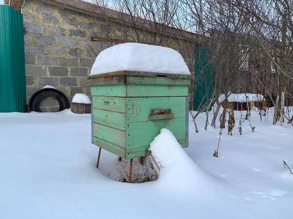 Kış Bahçesinde Yeşil Arı Kovanı Temiz Havada Bal Arılarının Kışı — Stok fotoğraf