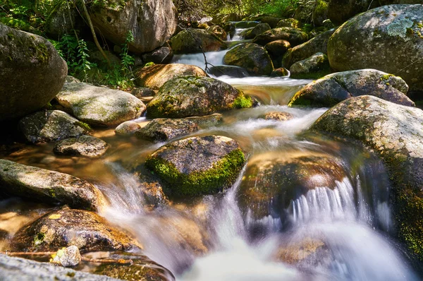 Madriu river, Andorra — Stock Photo, Image