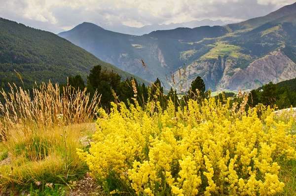 Pyrenees, Canillo, Andorra yakınındaki dağ manzarası