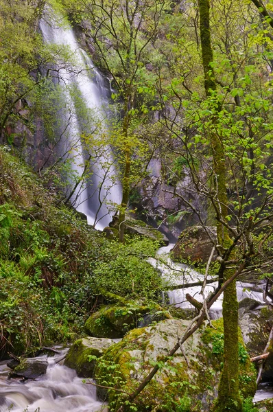 Auga Caida Waterfall, Ferreira de Panton, Lugo, Spain — Stock Photo, Image