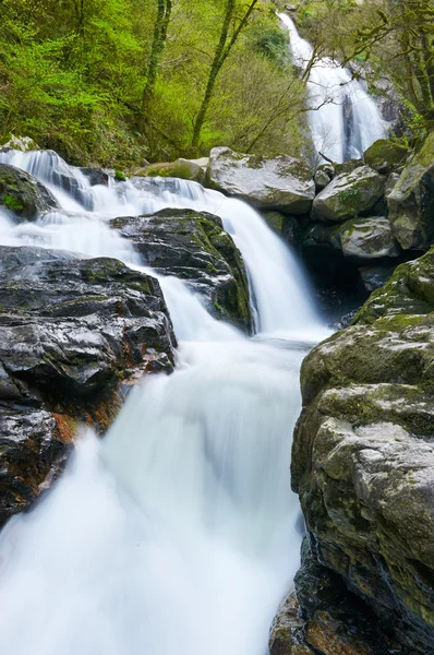 Toxa şelale, Silleda, Pontevedra, İspanya