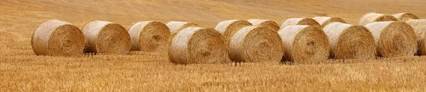 Campos después de la cosecha — Foto de Stock