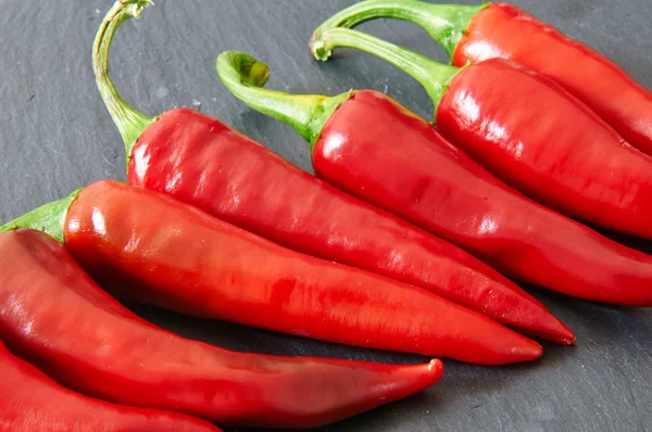 Rote Chilischoten — Stockfoto