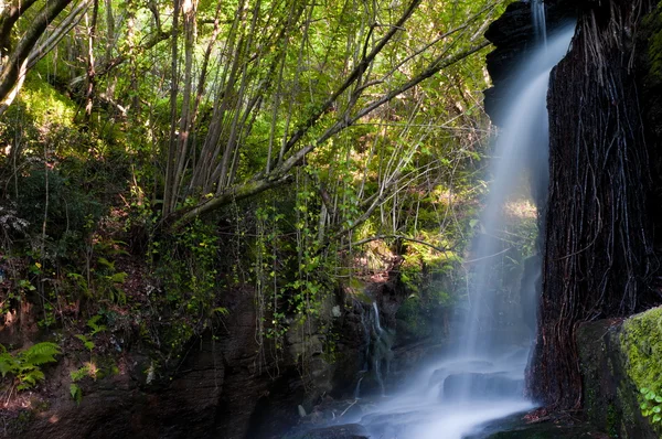 River Eifonso waterfall, in Vigo, Spain — Stock Photo, Image