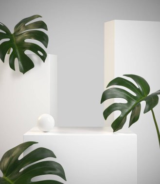 Monstera Tropik Bitkilerle Modern Minimal Mockup Güzel Beyaz Görünüm 3d Özet Çizim
