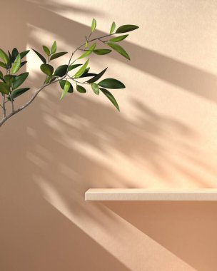 Bej Beton Duvarda Sunshade Branch Shadow ile Asgari Model Rafı Görünümü 3d Özyinelemesi