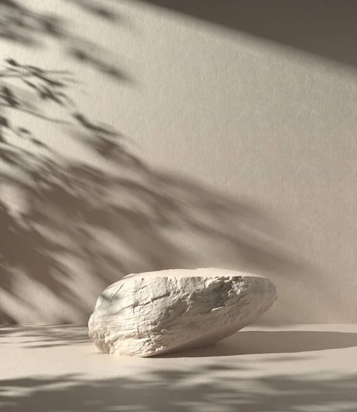 Sunlight Tree Gölgesi Çimento Duvarında Gölgesi olan Gösteri için Minimum Taş Gösterimi Arkaplan 3d