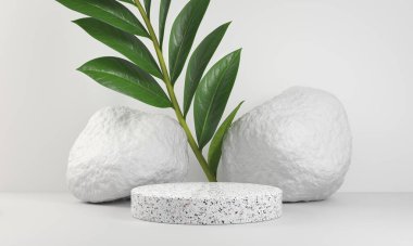 Sunum için Minimal Beyaz Mermer Platformu Bitki ve Kaya Taşı Arka planı 3D Render