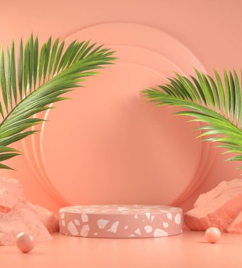 Göstermek için Boş Asgari Duruş Görünümü Pembe Soyut Arkaplan 3d Render Doğal Konsepti
