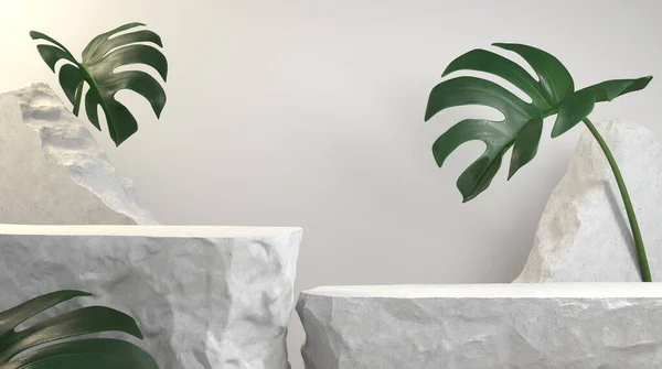 White Stone Product Display Podium Debris Stone Slabs Monstera Tropic — Stock Photo, Image