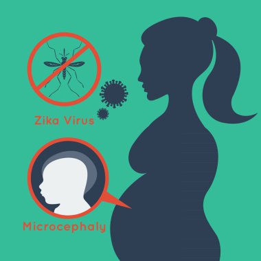 zika virüs vektör