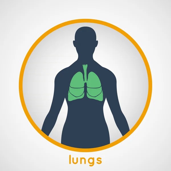 Lungs logo vector — Stock Vector