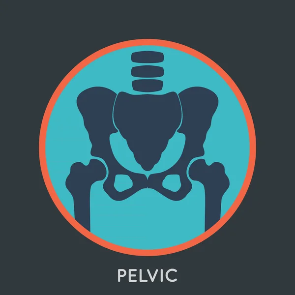 Vetor de logotipo PELVIC — Vetor de Stock