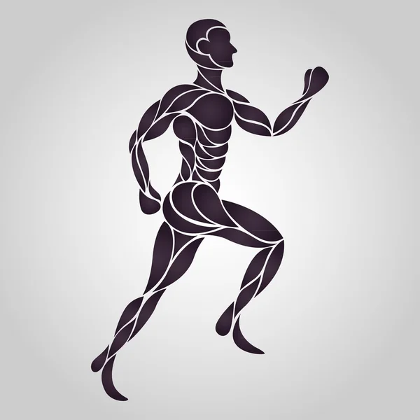 Anatomia corrida humana — Vetor de Stock