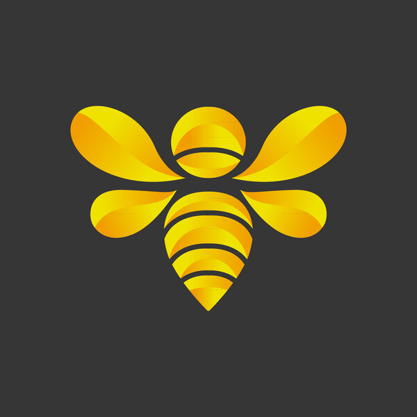 дизайн вектора татуировки дракона
