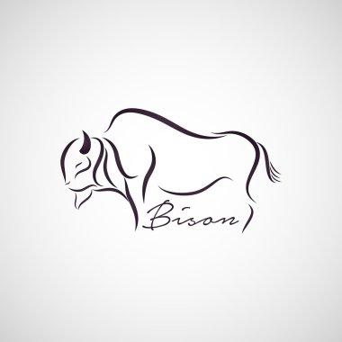 Bison logo vector