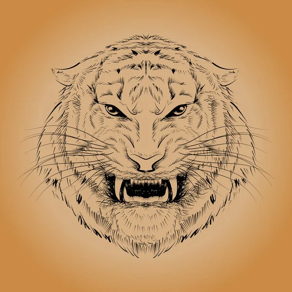 Tigerkopf von Hand gezeichnet — Stockvektor