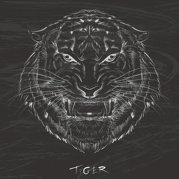Tigerzeichnung mit Kreide auf Tafel — Stockvektor