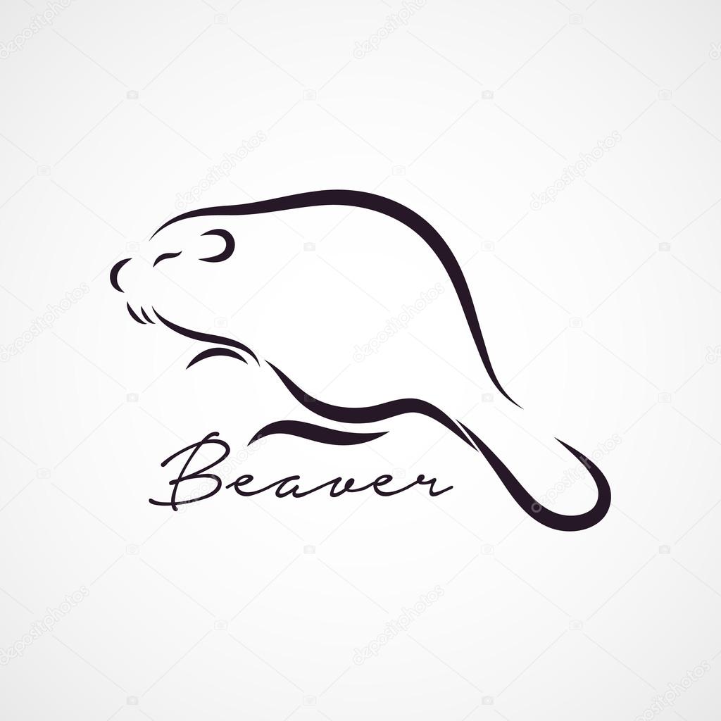 Beaver logo vector