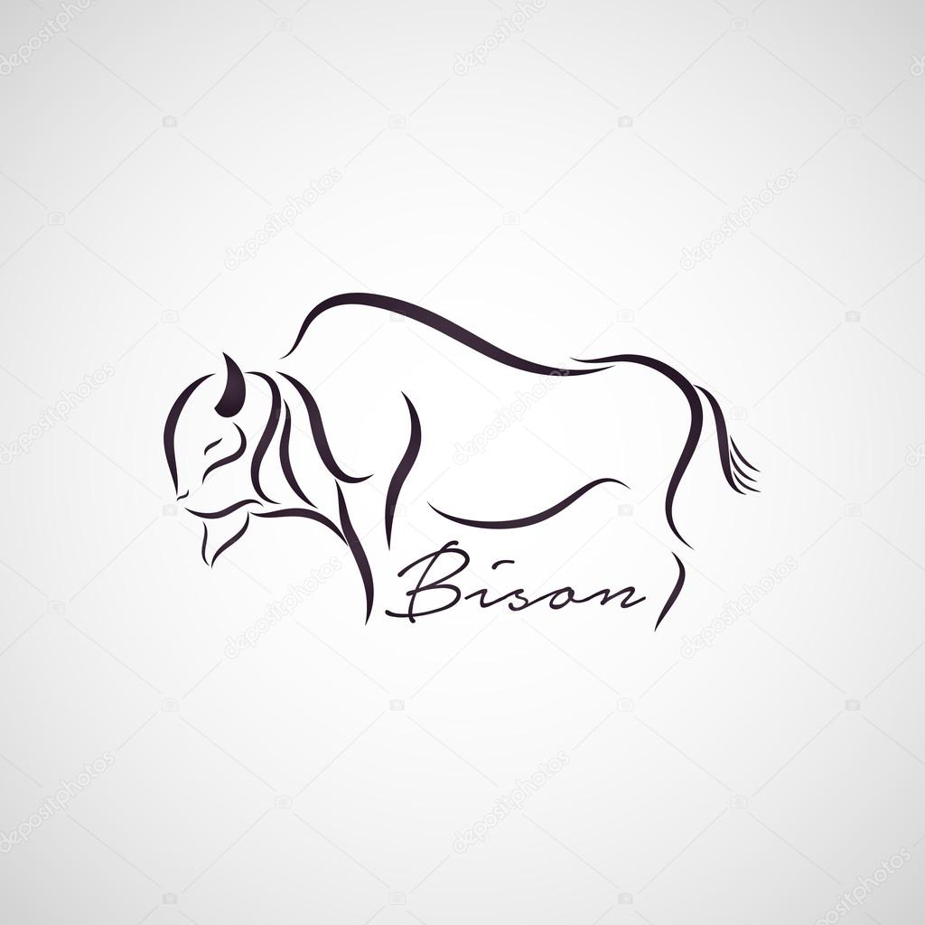 Bison logo vector