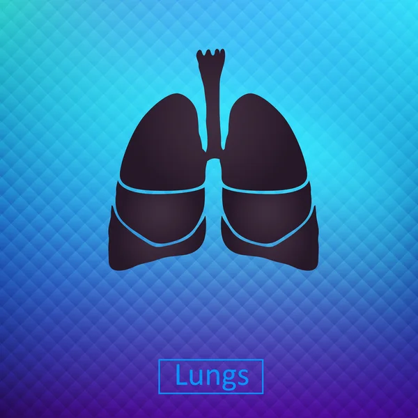 Lungs — Stock Vector