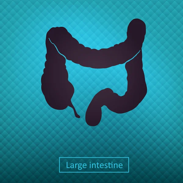 Icono del intestino grueso — Vector de stock