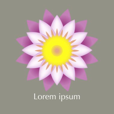 Lotus çiçeği vecto