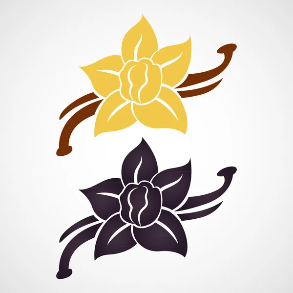 Vanilla flor e baunilha vagens vetor logotipo — Vetor de Stock